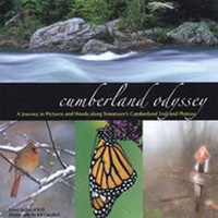 Abbildung von: Cumberland Odyssey - Mountain Trail Press LLC