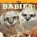 Cover: Owl Babies! - Farcountry Press