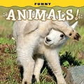Cover: Funny Animals! - Farcountry Press