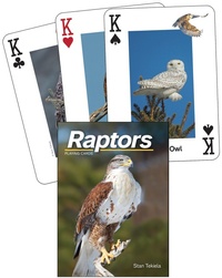 Abbildung von: Raptors Playing Cards - Adventure Publications, Incorporated
