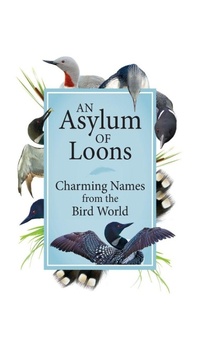 Enlarge image Cover: An Asylum of Loons - Adventure Publications, Incorporated