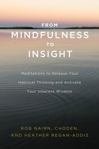 Enlarge image Cover: From Mindfulness to Insight - Shambhala Publications Inc
