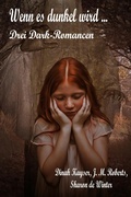 Cover: Wenn es dunkel wird ... - neobooks
