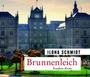 Cover: Brunnenleich - abod