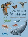 Cover: Animals of Aotearoa: Explore & discover New Zealand's wildlife - Potton & Burton