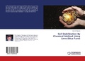Cover: Soil Stabilization By Chemical Method Using Lime-Silica Fume - LAP Lambert Academic Publishing