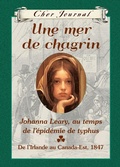 Cover: Cher Journal : Une mer de chagrin - Editions Scholastic