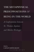 Cover: The Metaphysical Presuppositions of Being-in-the-World - Bloomsbury Continuum