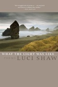 Cover: What the Light Was Like - WordFarm