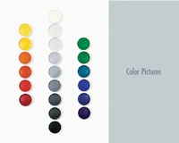 Enlarge image Cover: Color Pictures - The Art Galleries at TCU