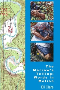 Enlarge image Cover: The Marrow's Telling - Homofactus Press, L.L.C.