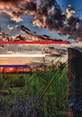 Cover: Wonderful Country - Borodino Books