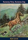 Cover: Runaway Pony, Runaway Dog - Muriwai Books