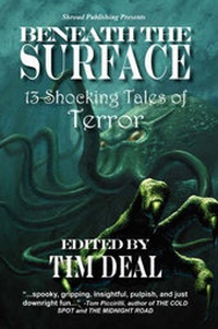 Enlarge image Cover: Beneath The Surface - Shroud Publishing LLC