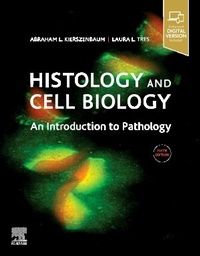Abbildung von: Histology and Cell Biology: An Introduction to Pathology - Elsevier