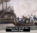 Cover: Voyage to the South Sea - Seltzer Books