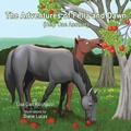 Cover: The Adventures of Fella and Dawn - Trafford Publishing