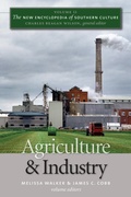 Cover: The New Encyclopedia of Southern Culture - The University of North Carolina Press