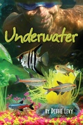 Cover: Underwater - Lerner Publishing Group