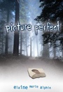 Cover: Picture Perfect - Lerner Publishing Group