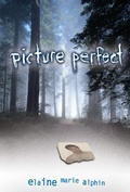 Cover: Picture Perfect - Lerner Publishing Group