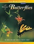 Cover: A Shimmer of Butterflies - London Town Press