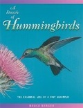 Cover: A Dazzle of Hummingbirds - London Town Press