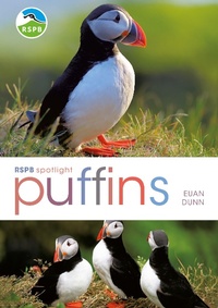 Enlarge image Cover: RSPB Spotlight: Puffins - Bloomsbury Wildlife