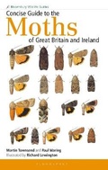 Cover: Concise Guide to the Moths of Great Britain and Ireland - Bloomsbury Wildlife