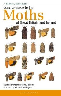 Enlarge image Cover: Concise Guide to the Moths of Great Britain and Ireland - Bloomsbury Wildlife