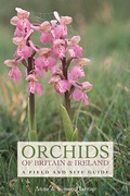 Cover: Orchids of Britain and Ireland - Bloomsbury Wildlife