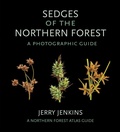 Cover: Sedges of the Northern Forest - Comstock Publishing Associates
