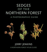 Enlarge image Cover: Sedges of the Northern Forest - Comstock Publishing Associates