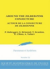 Enlarge image Cover: Around the Zilber-Pink Conjecture - Societe mathematique de France