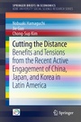 Cover: Cutting the Distance - Springer