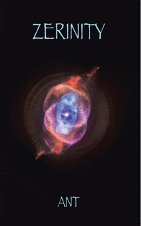 Enlarge image Cover: Zerinity - Partridge Publishing India