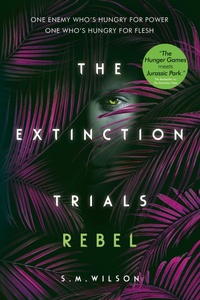 Enlarge image Cover: Rebel - Usborne Publishing Ltd