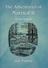 Enlarge image Cover: The Adventures of Normal Ii - WestBow Press