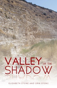 Enlarge image Cover: Valley of the Shadow - WestBow Press