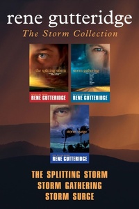 Enlarge image Cover: The Storm Collection - Tyndale House Publishers