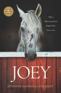Cover: Joey - Tyndale Momentum