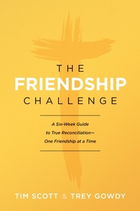 Enlarge image Cover: The Friendship Challenge - Tyndale Momentum