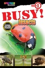Cover: BUSY! Insects - Spectrum