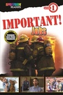 Cover: IMPORTANT! Jobs - Spectrum