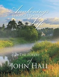 Cover: Awakenings - Xlibris AU