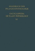 Cover: Aufbau &middot; Speicherung &middot; Mobilisierung und Umbildung der Kohlenhydrate / Formation &middot; Storage &middot; Mobilization and Transformation of Carbohydrates - Springer