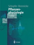 Abbildung von: Pflanzenphysiologie - Springer