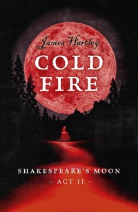 Enlarge image Cover: Cold Fire - Lodestone Books