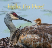 Abbildung von: Hello, I'm Here! - Candlewick Press,U.S.