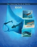Cover: Rays - Mason Crest Publishers